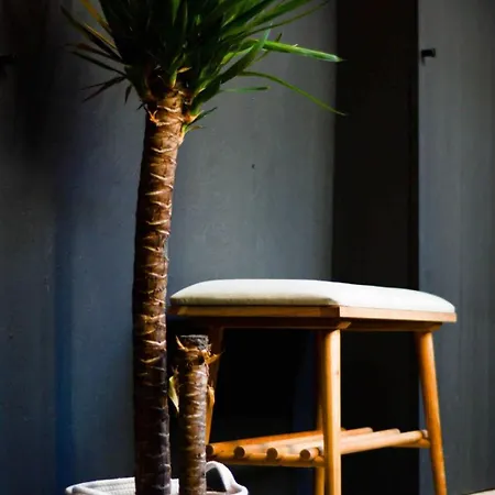 Apartamento Le Raugraff - Charme Et Confort En Plein Coeur De Nancy *