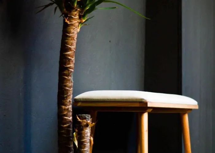 Le Raugraff - Plein Centre Superbe F2