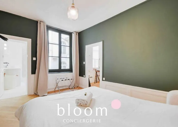 Le Raugraff - Plein Centre Superbe F2 Апартаменты *